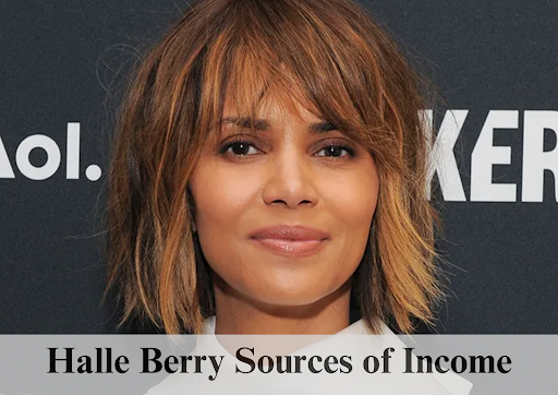 Halle Berry sources of income