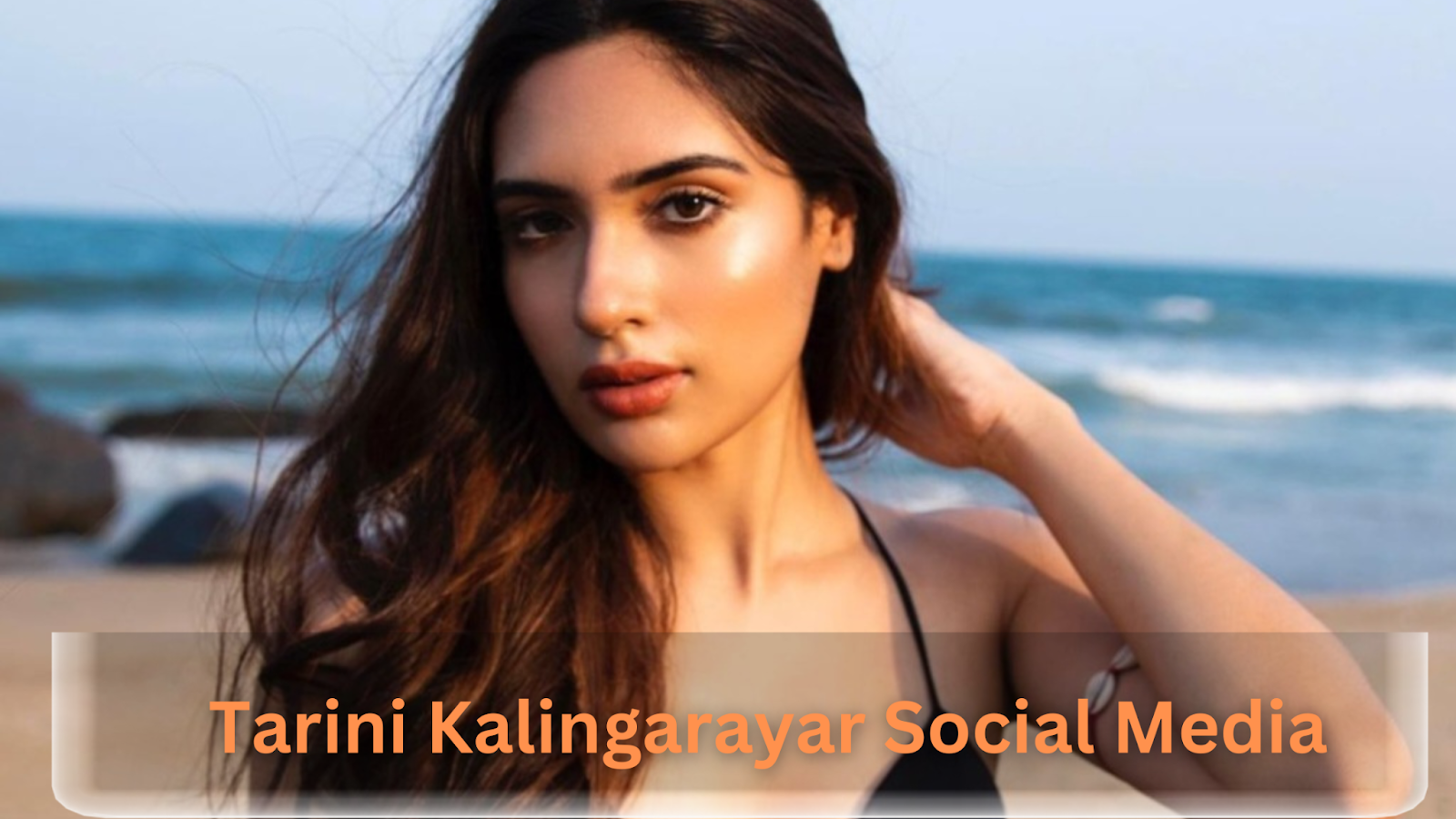 Tarini Kalingarayar Social Media