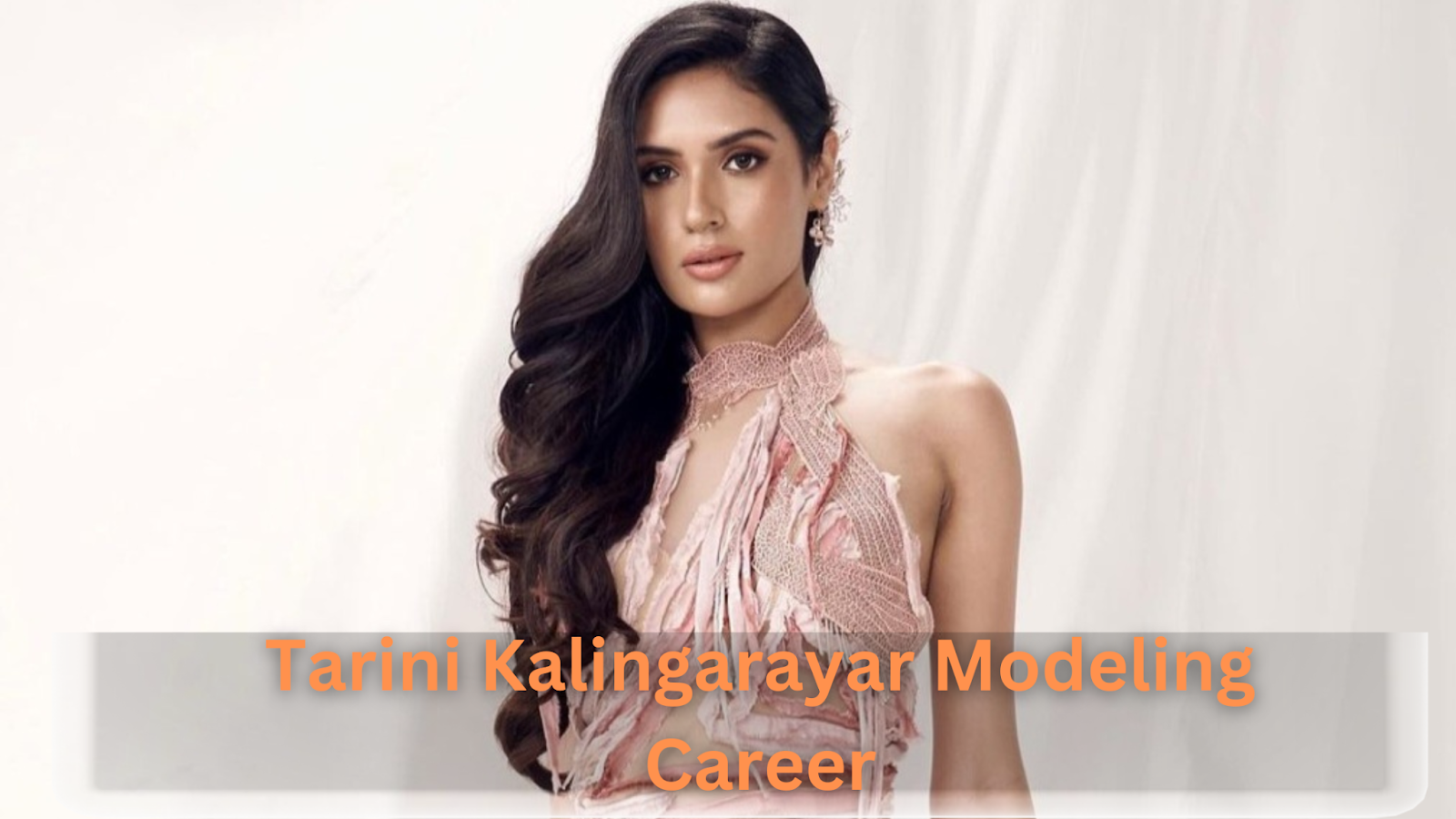 Tarini Kalingarayar Modeling Career